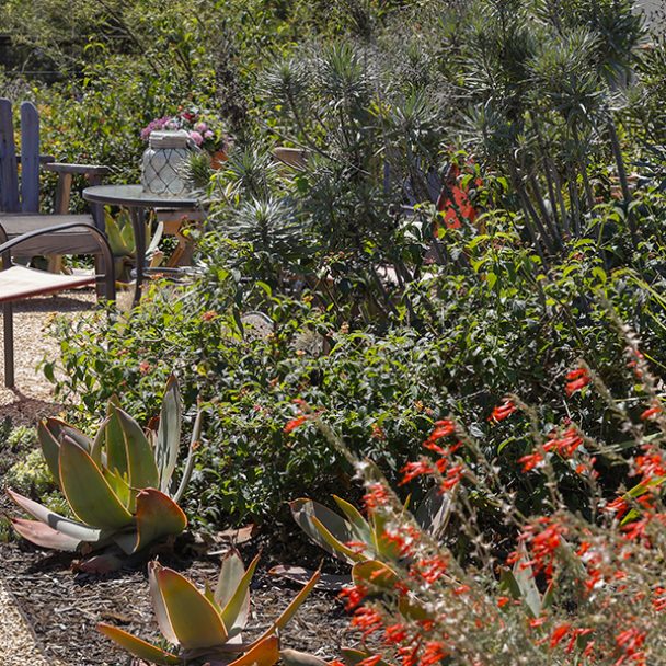 Enter the WaterSmart Landscape Contest – Deadline May 8